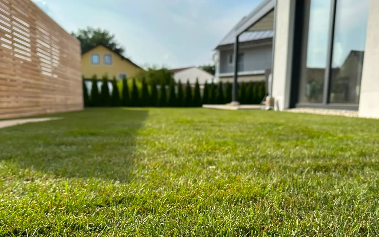 Rasenfläche in einem Hausgarten aus flacher Sicht, dahinter eine Thujahecke, links eine Sichtschutzwand aus Holz, rechts ein Wohnhaus mit bodentiefen Fenstern